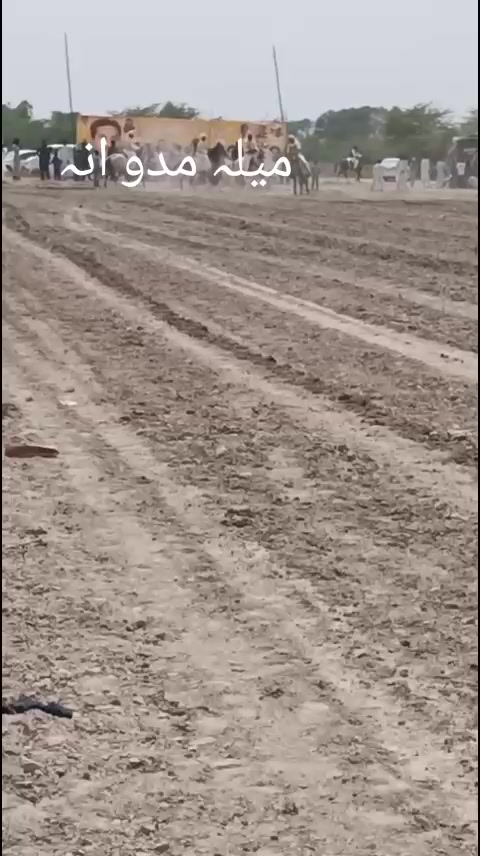 @احمد گل نمبر دار