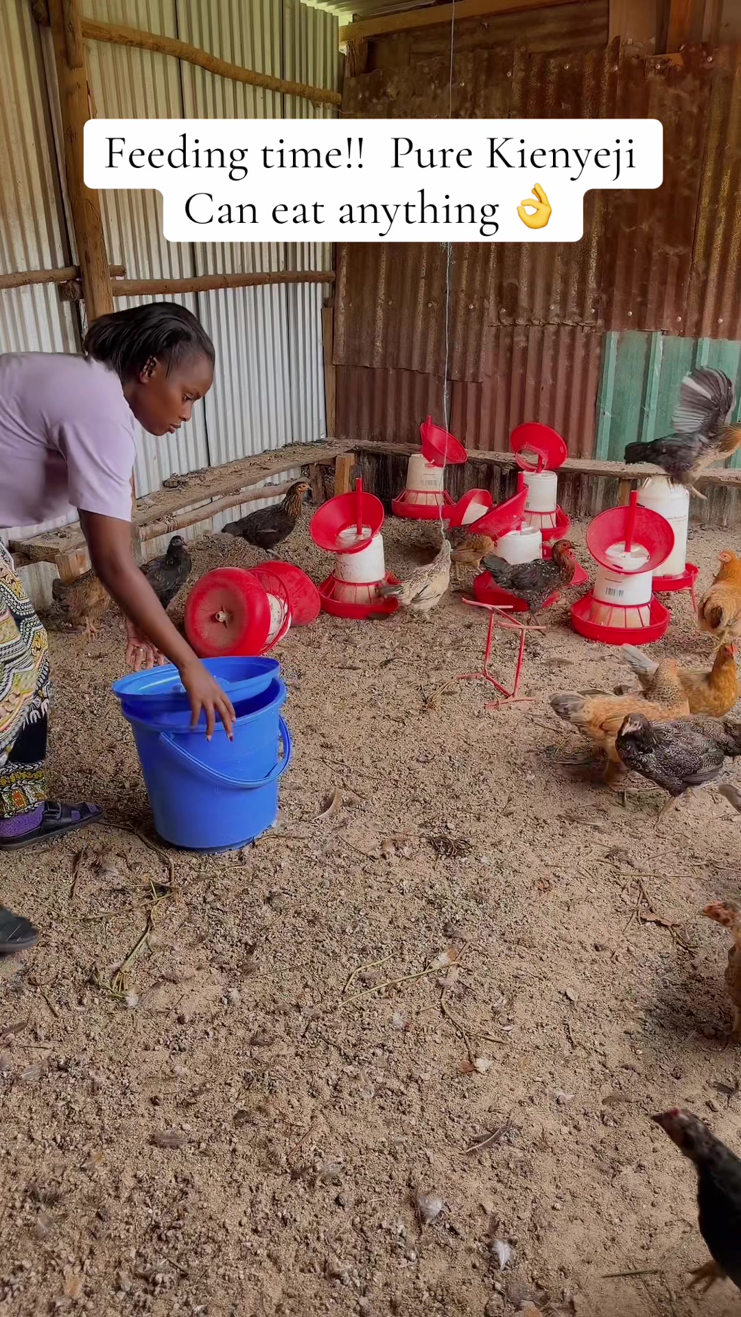 @kimasmartfarmsltd