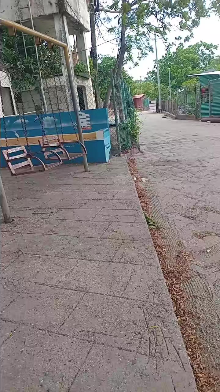 @yamilethrivas358