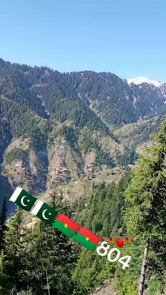 @jahangerkhan523