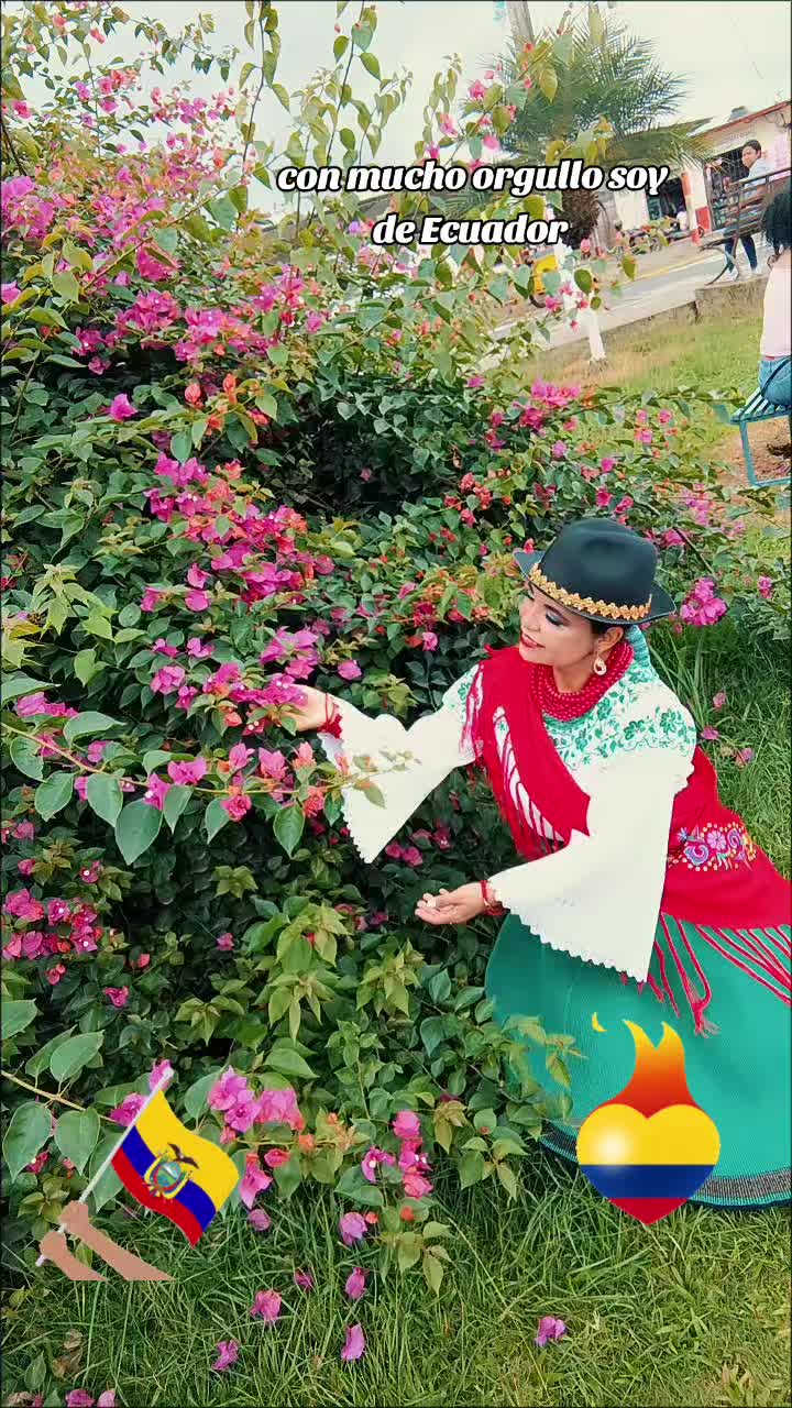 @๐ท๐๐๐๐๐๐๐๐๐โค๏ธ๐ฅ