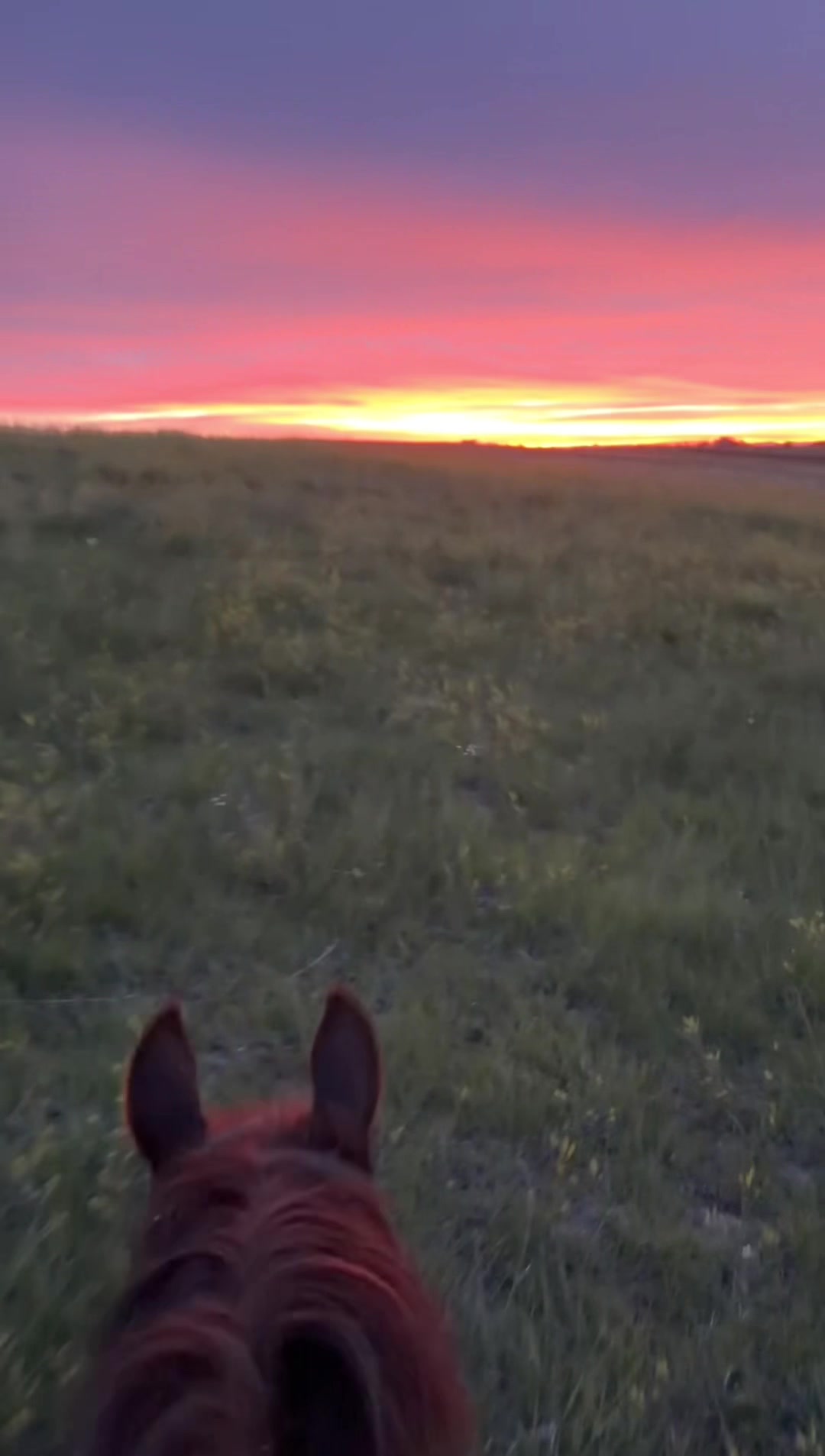 @Ruether Ranch
