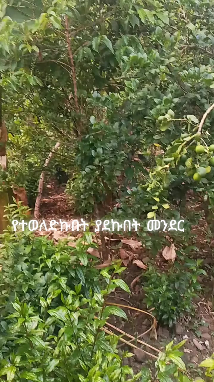 @MUIe መሬው