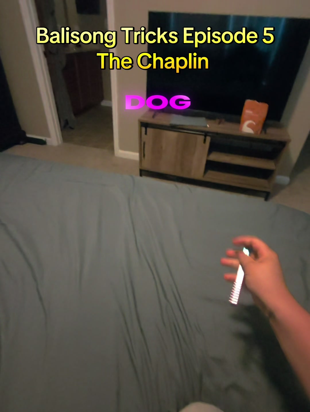 @DevDog