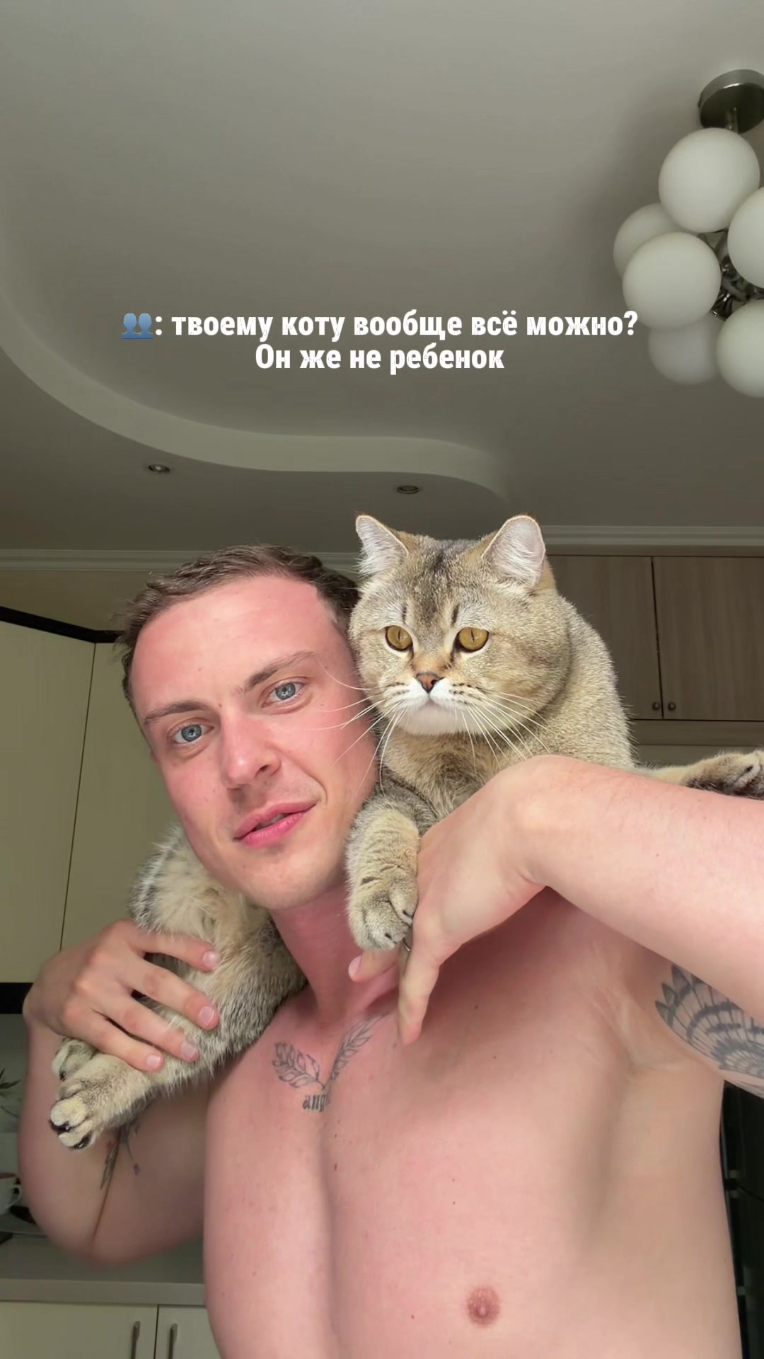 @котопапа