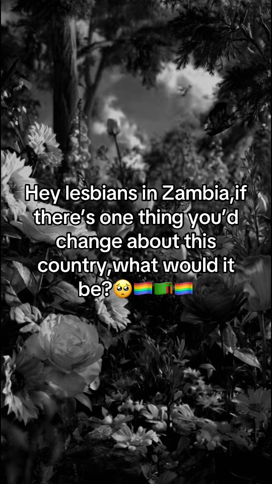 @Z lgbtq community