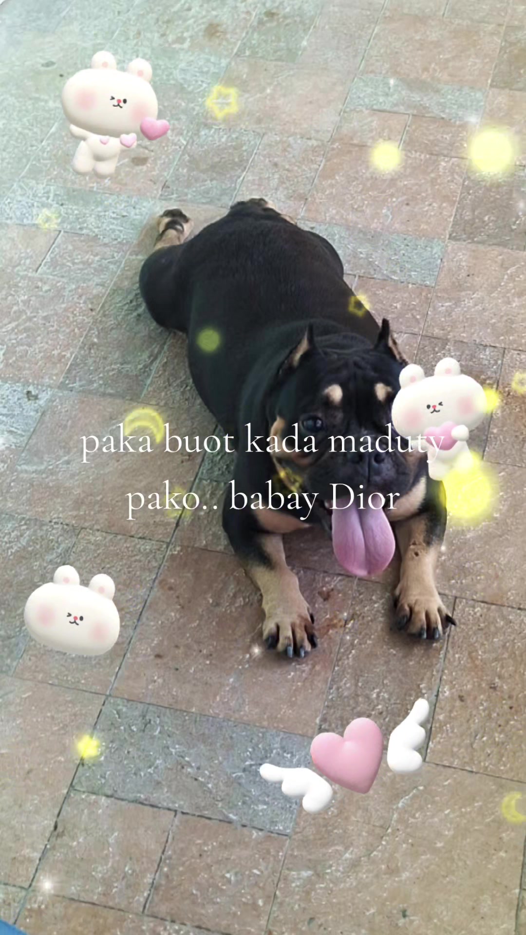 @Janice C