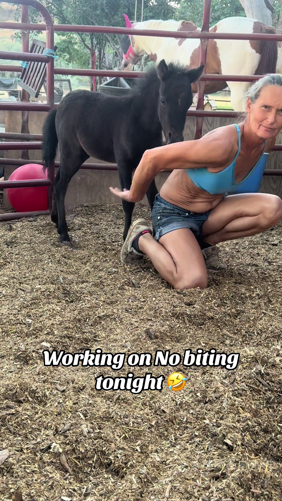 @Hot Sauce the Mini horse 🐎