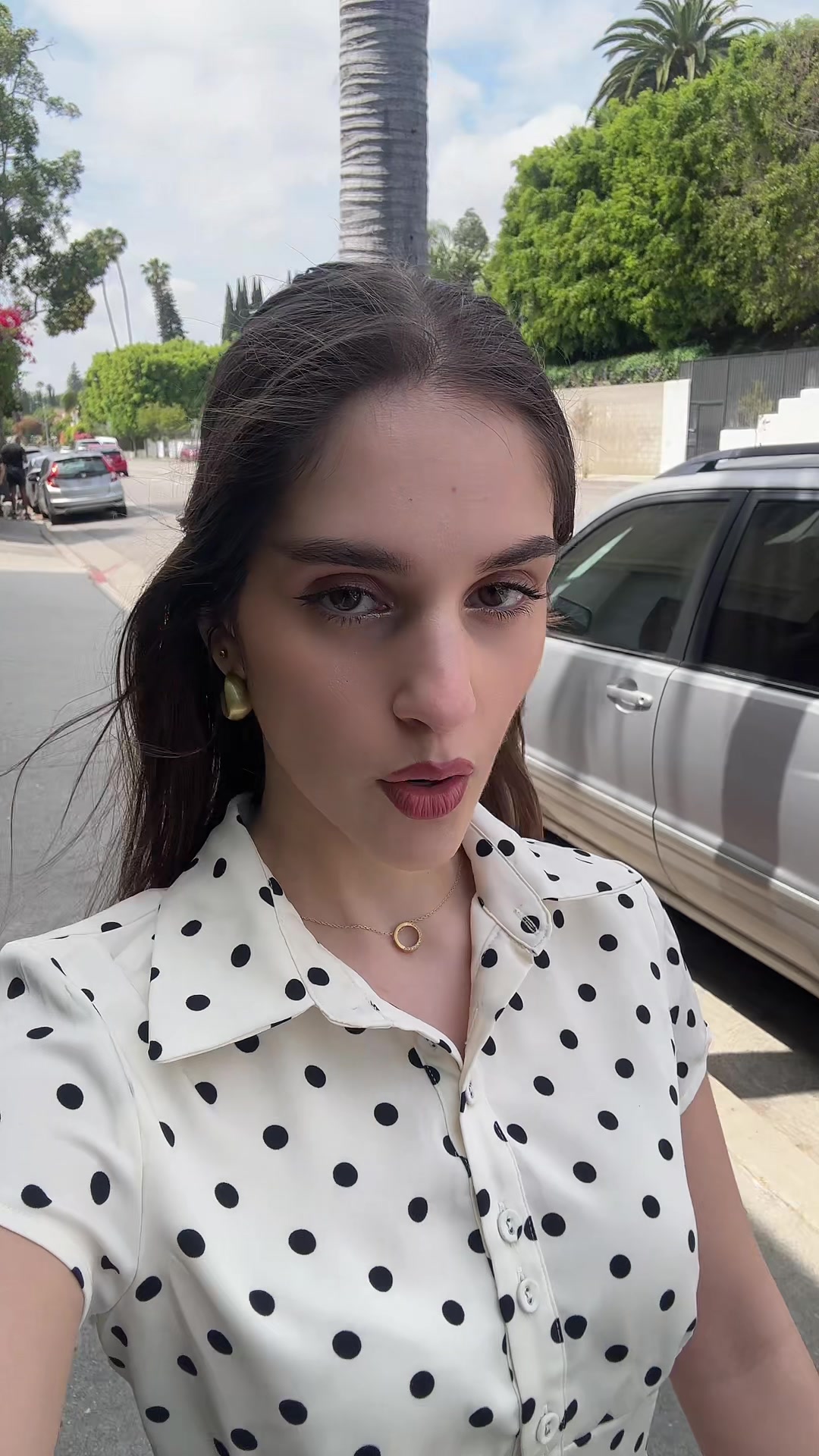 @karinelubany