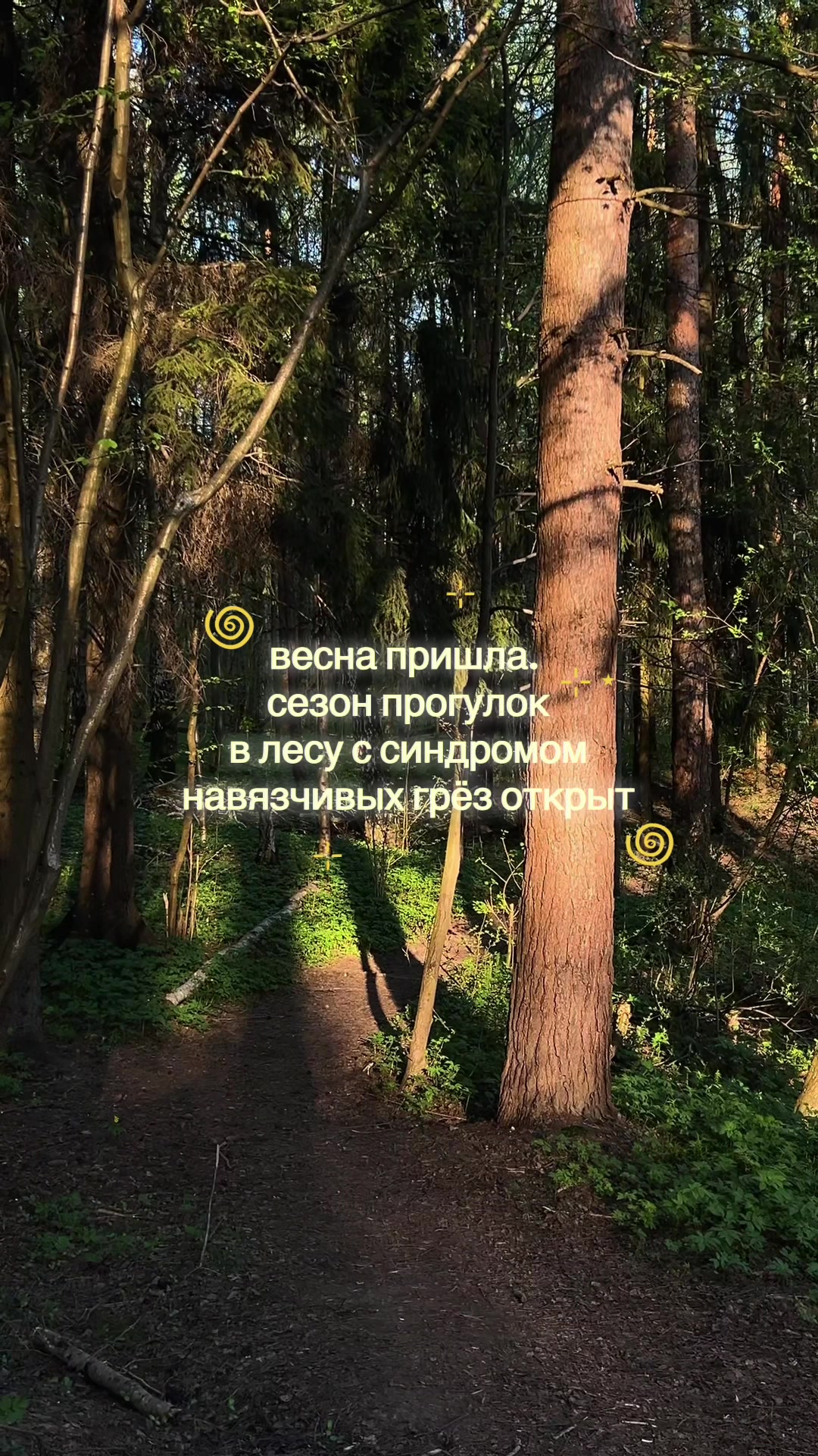 @victoria_bazil