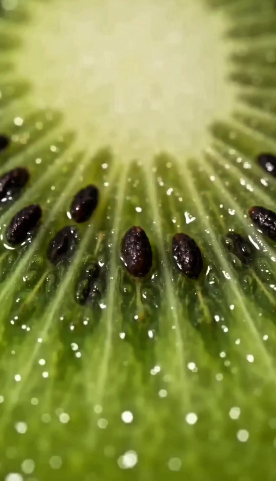 @Macro Zoom