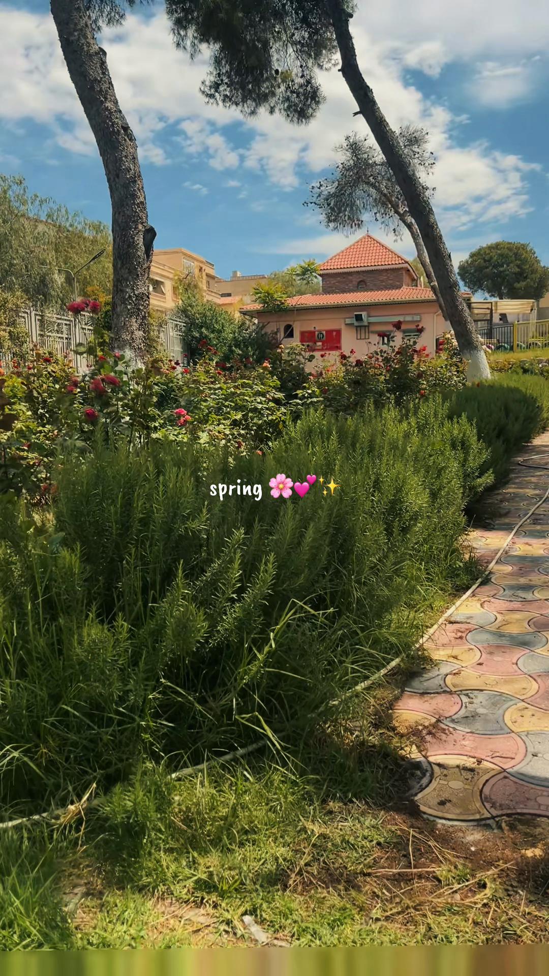 @أمنية ✨