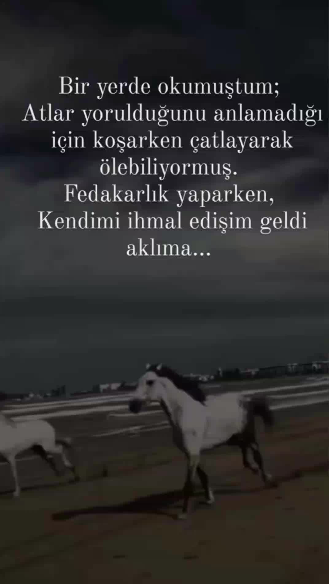 @ırmak toprak