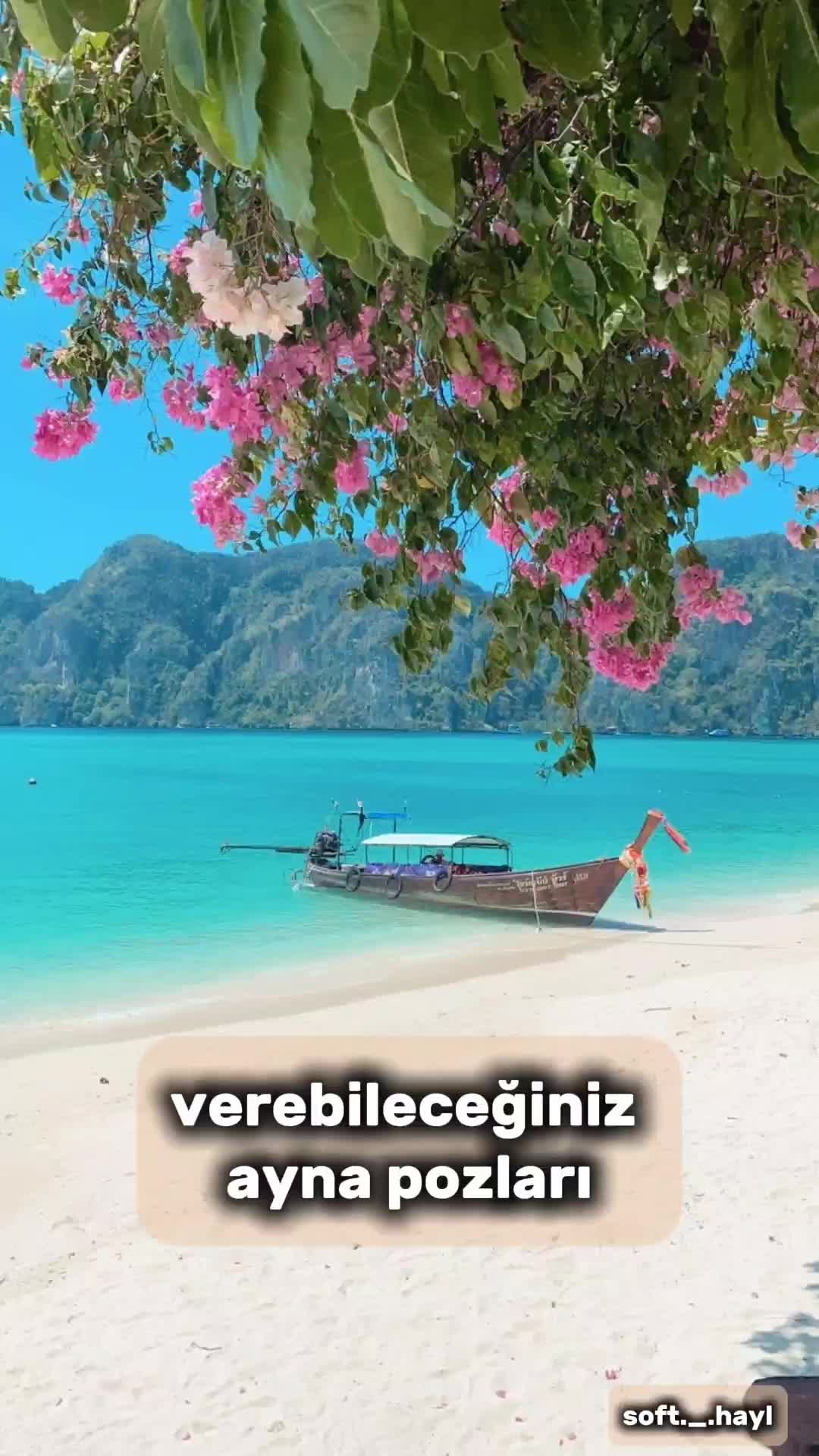 @soft._.hayl