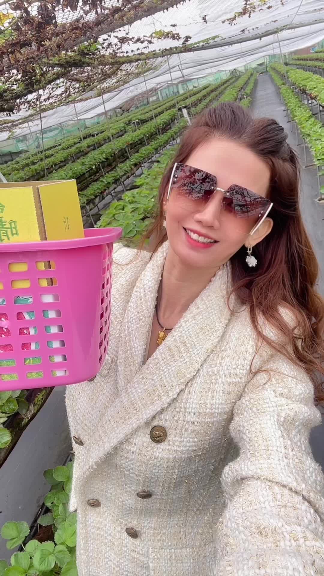 @阮夢依