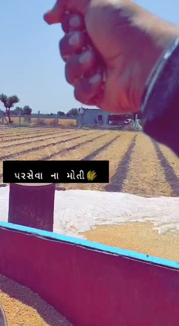 @Fenil_Mavani
