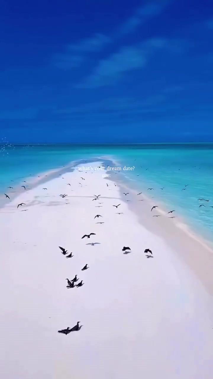 @Zanzibar 🇹🇿