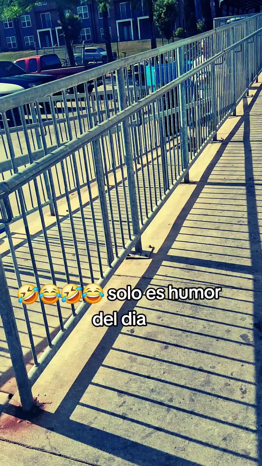 @✨️Chinto-Alegre❤️💫