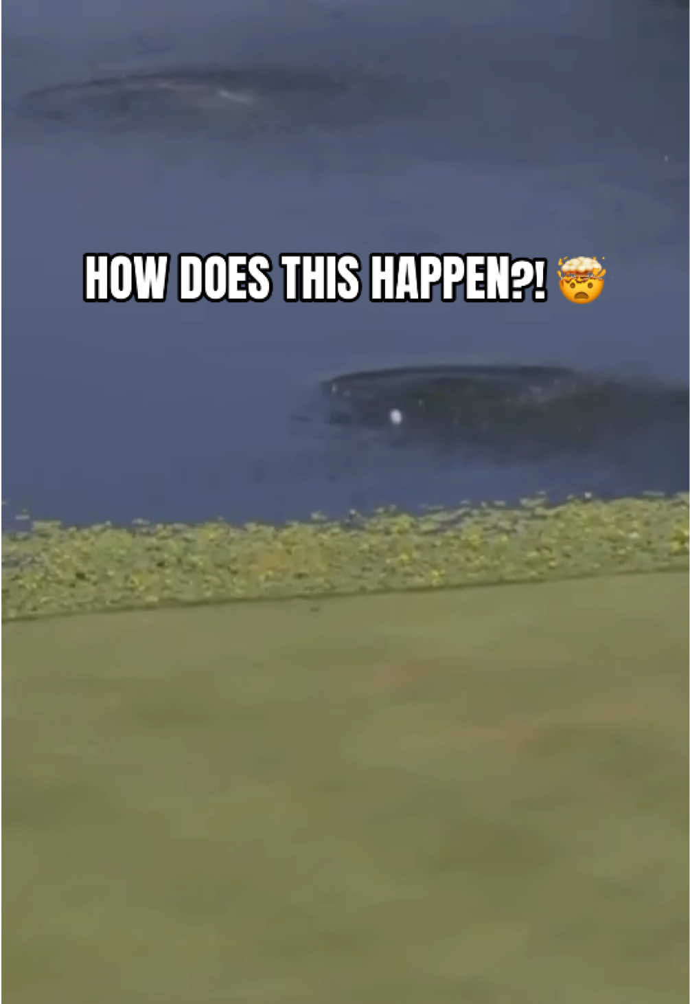 @LPGA