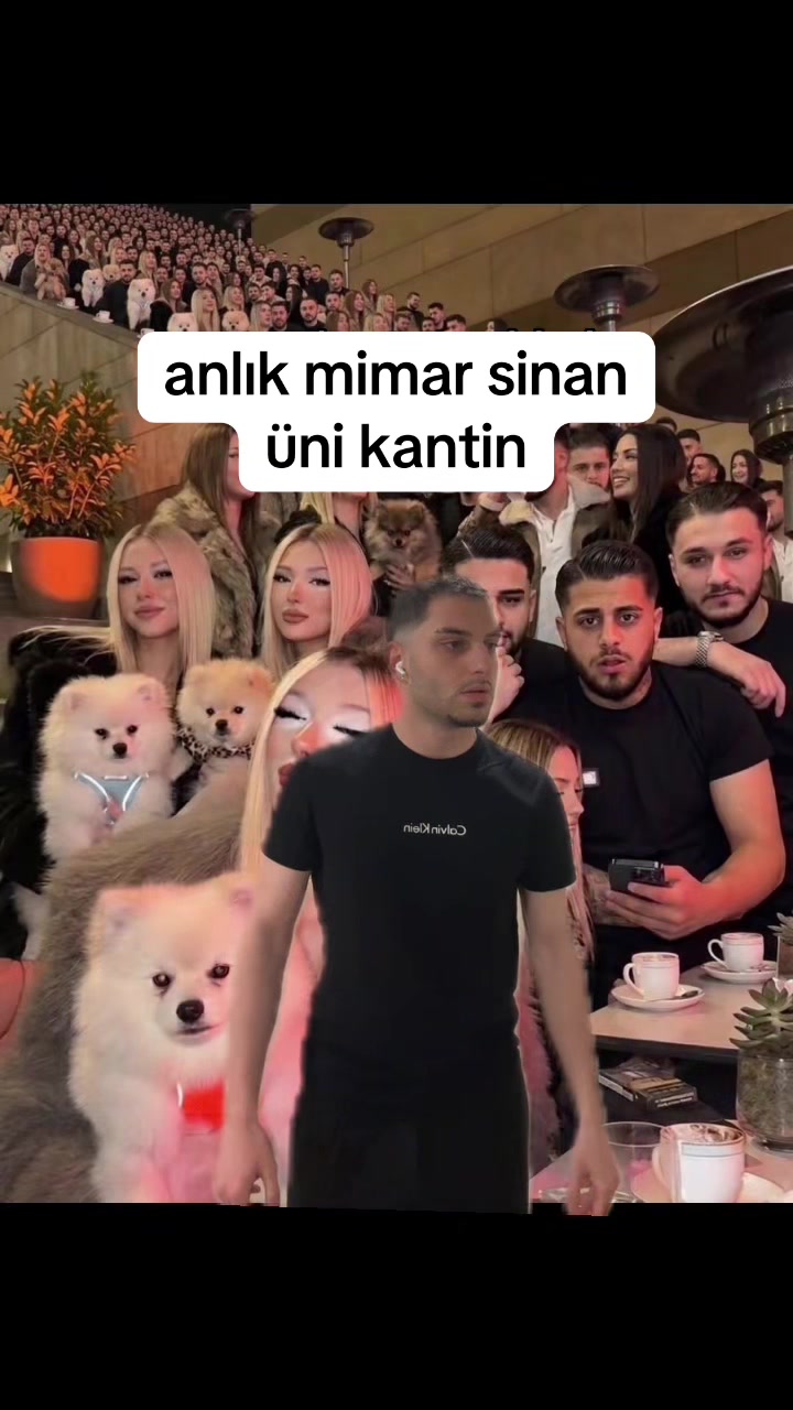 @enes serif