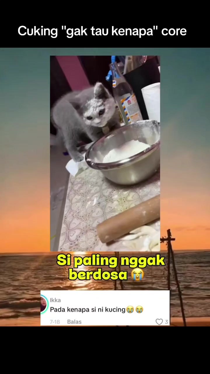 @Kiki