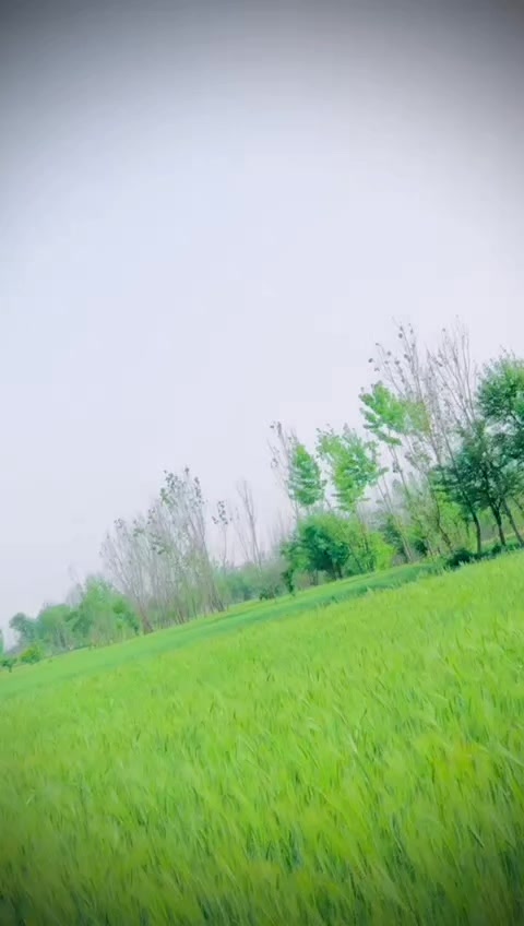 @🦋Mr MUNSIF KHAN🦋