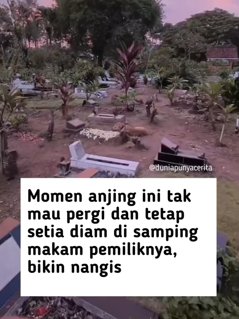 @Dunia Punya Cerita