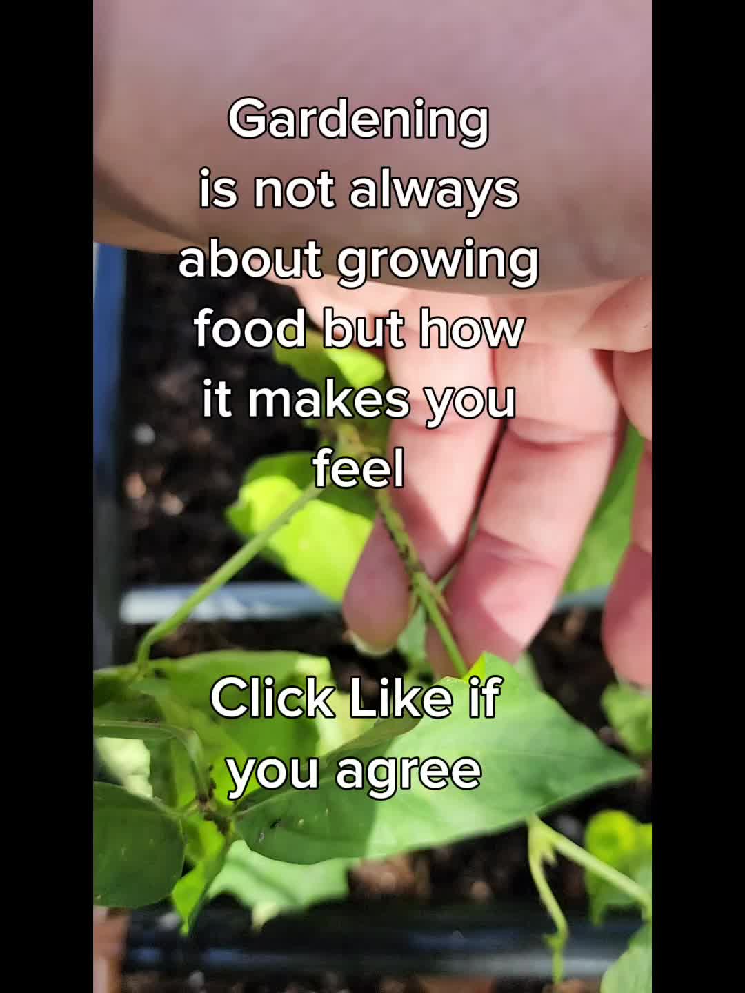 @Rescue My Plant