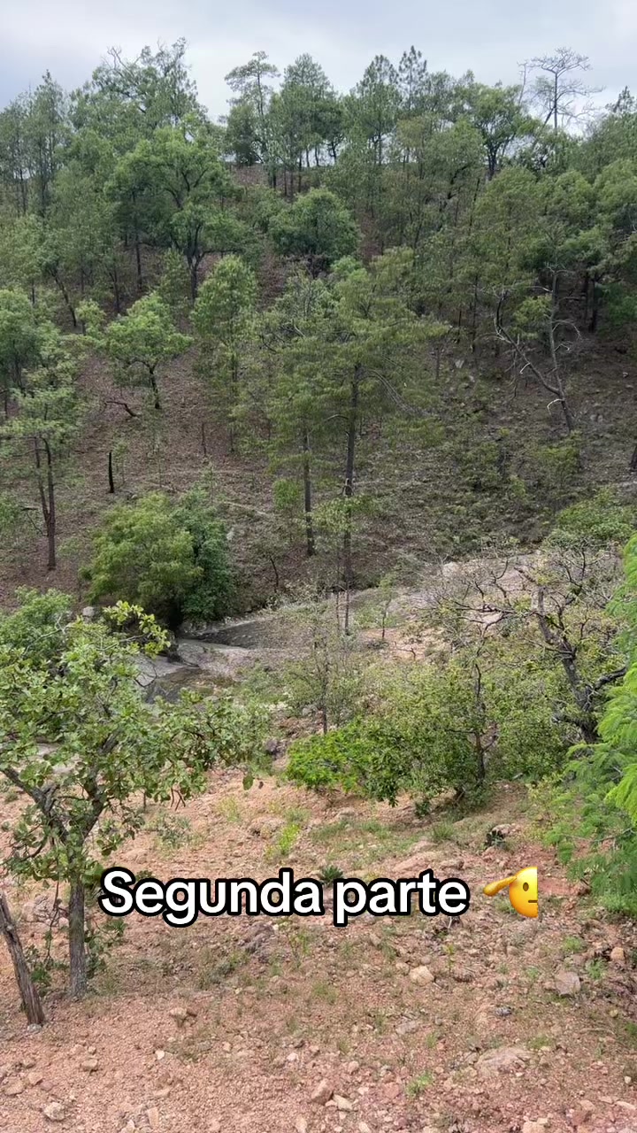 @Jêsûs Åstörgã🐮🍀🦂