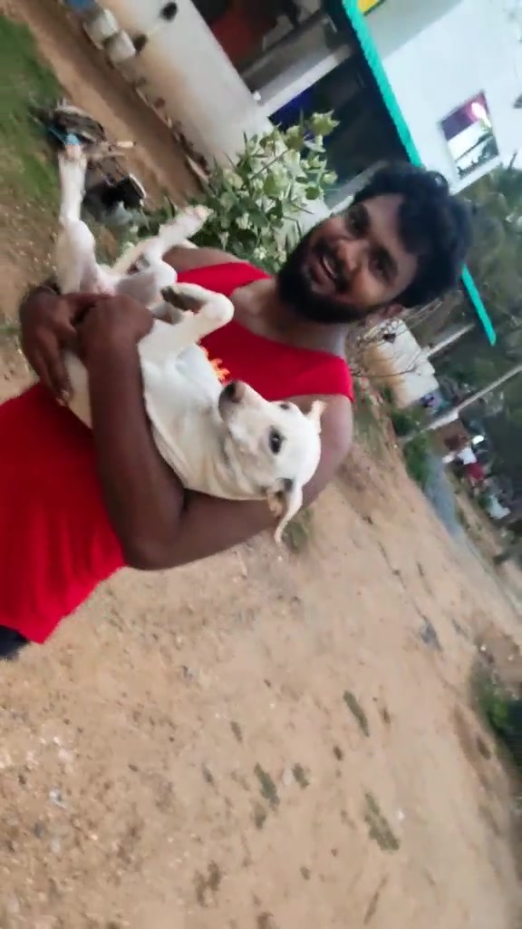 @Vigneshsubramaniam