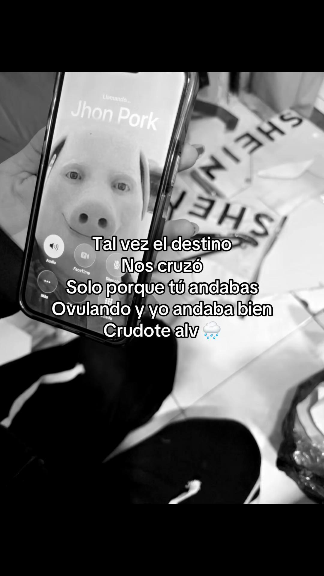 @andres._toys