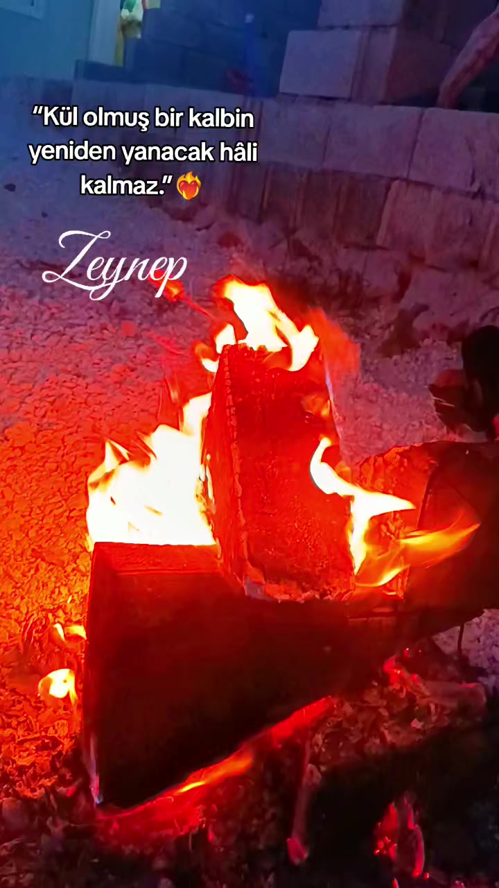 @Zeyno günn