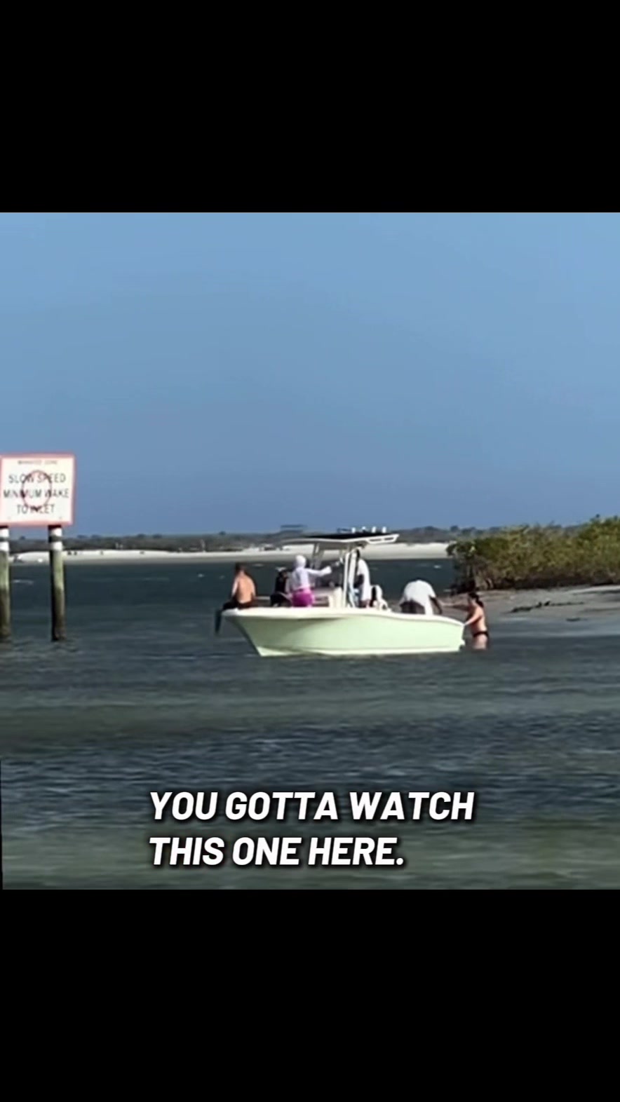 @Scout and Bob