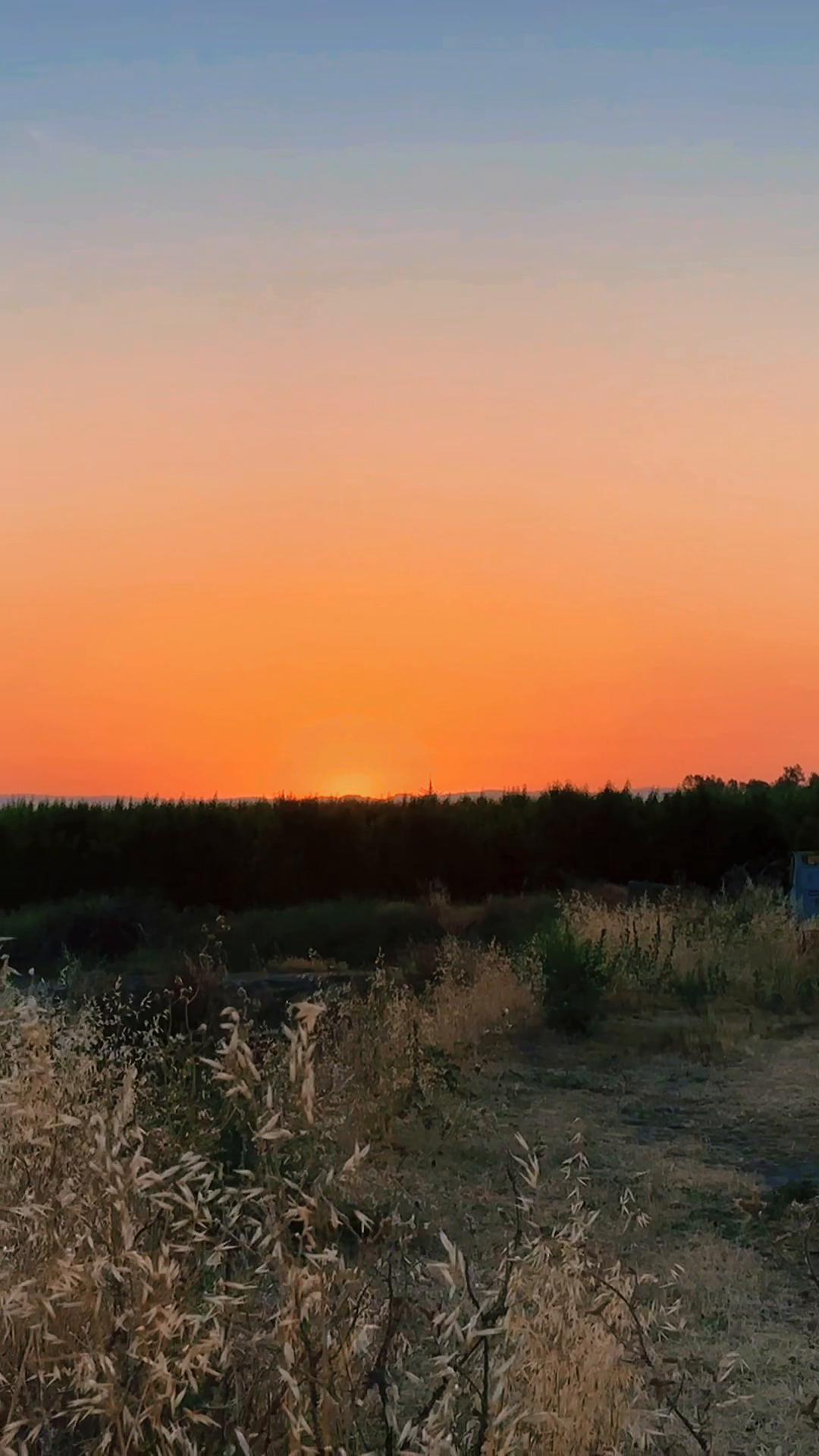 @101Lakhvir