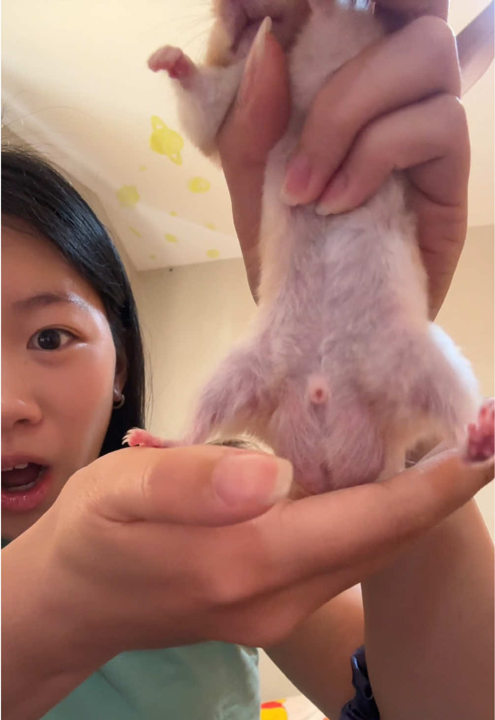@doubledeez (っ'ཀ`)っ ( • )( • )
