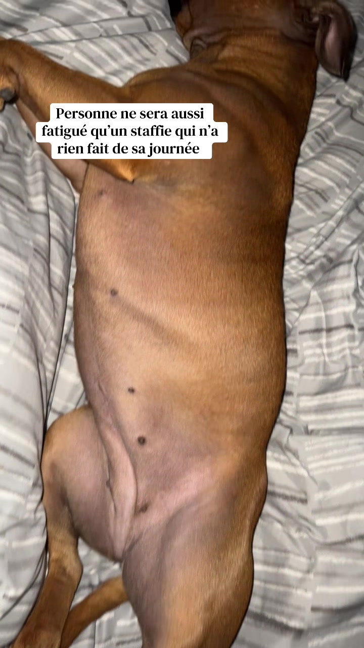 @Les Stories de Sky