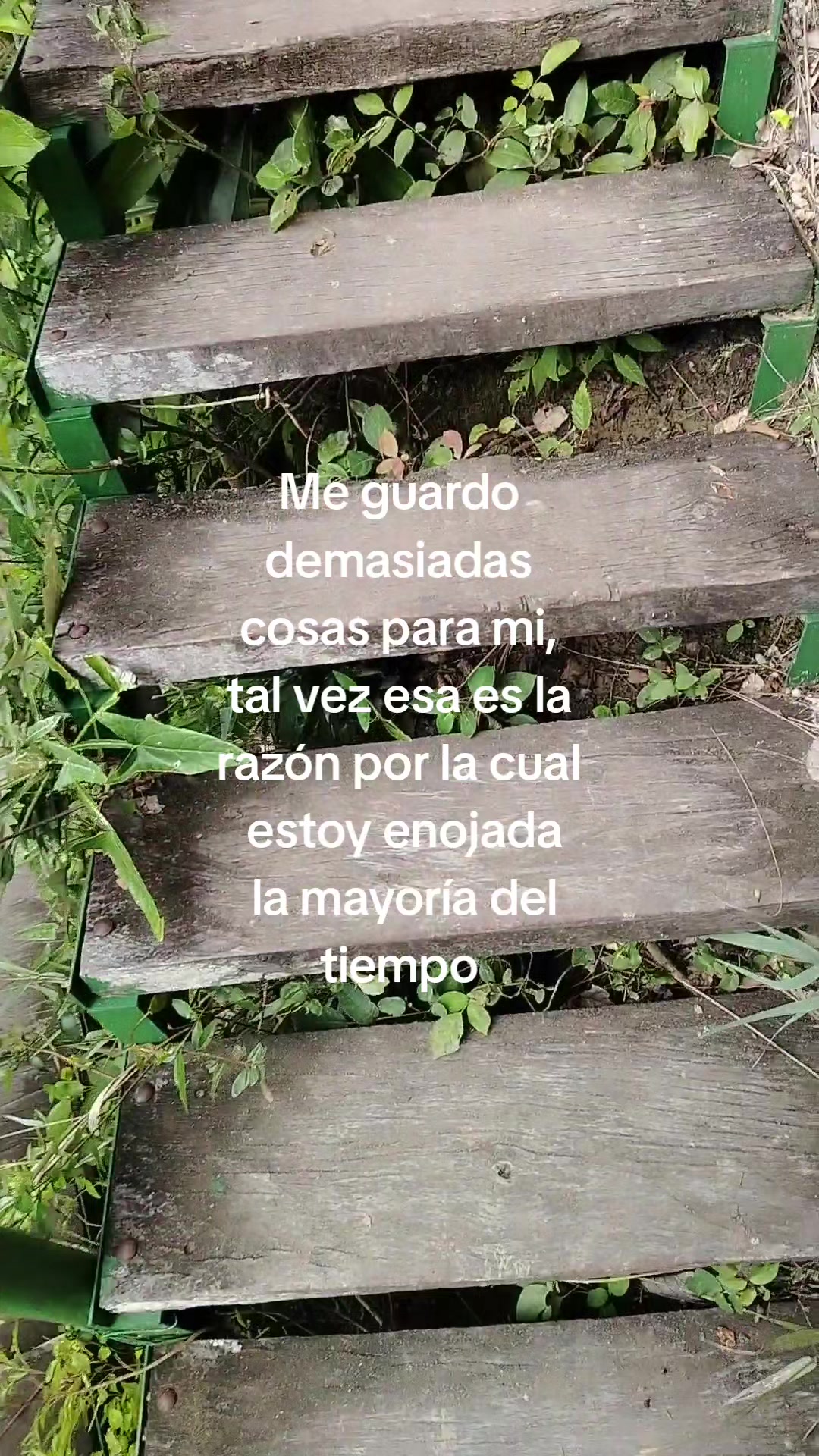 @Canela🐼