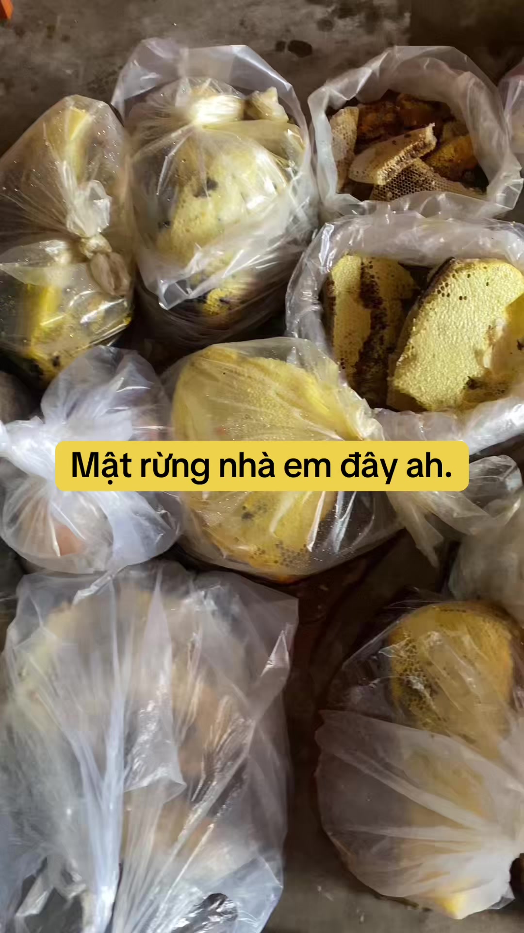@Mật rừng TH&Agrave;NH ĐẠT