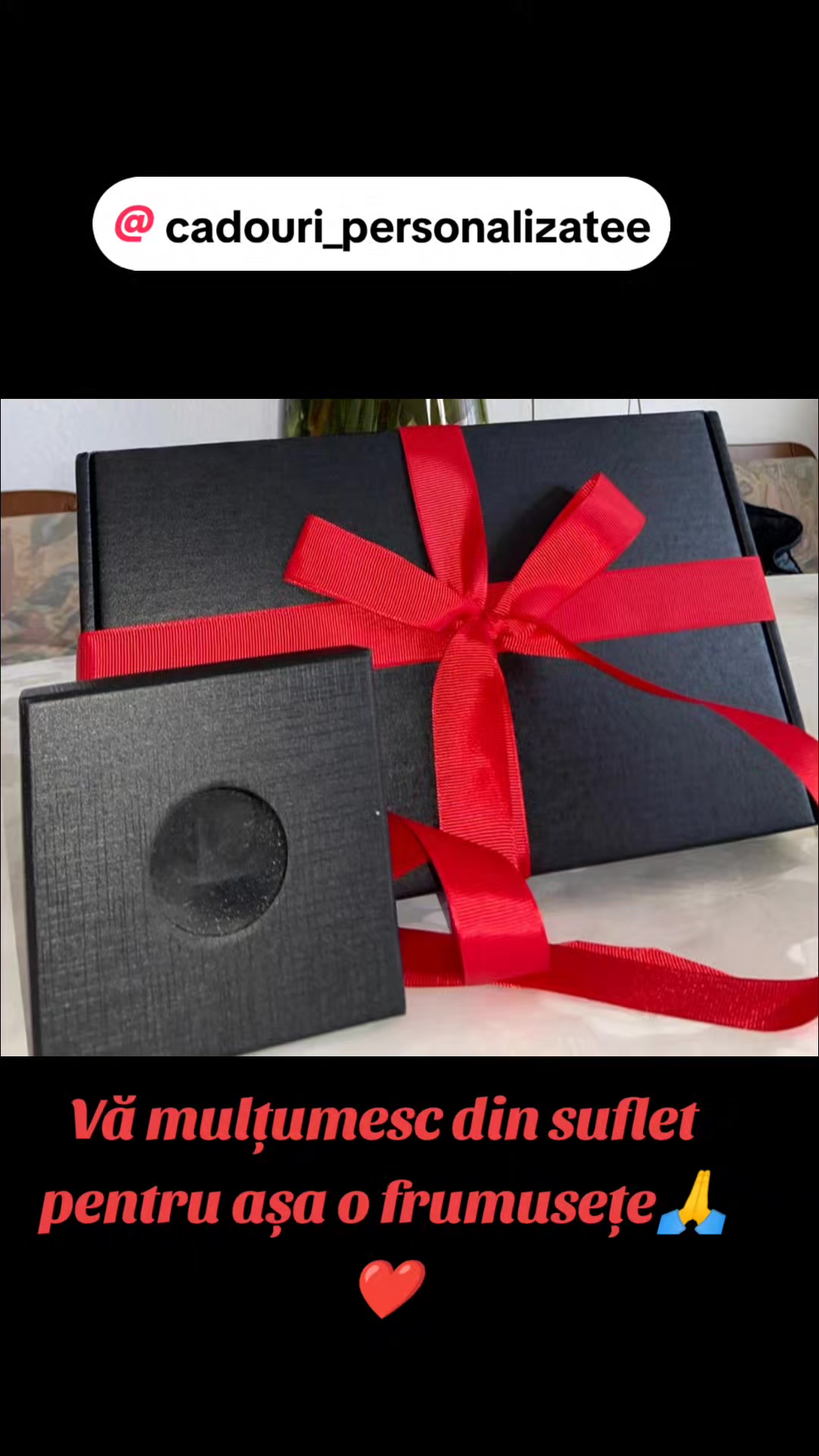 @Anișoara Viziru