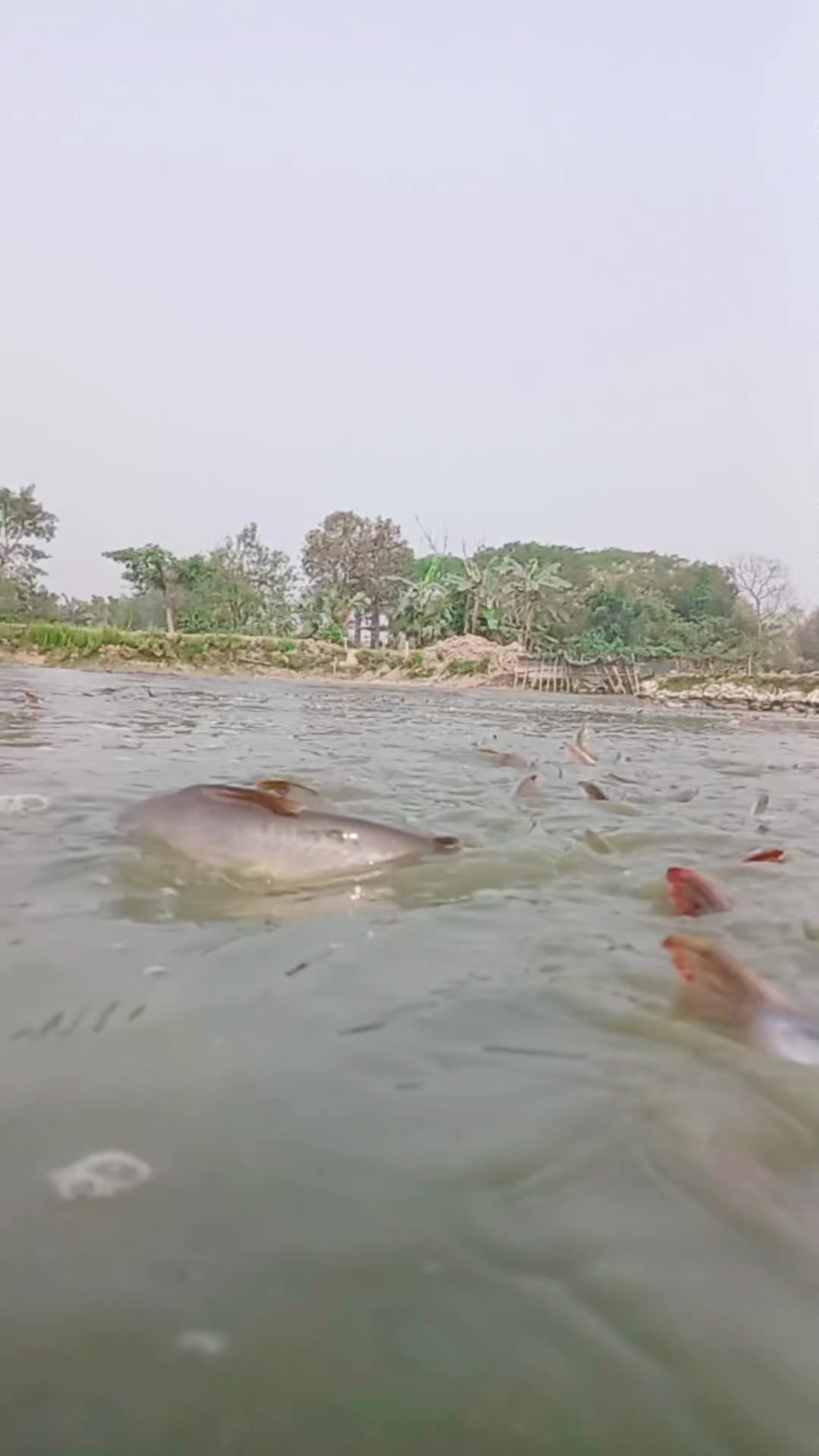@সুজন মিয়া