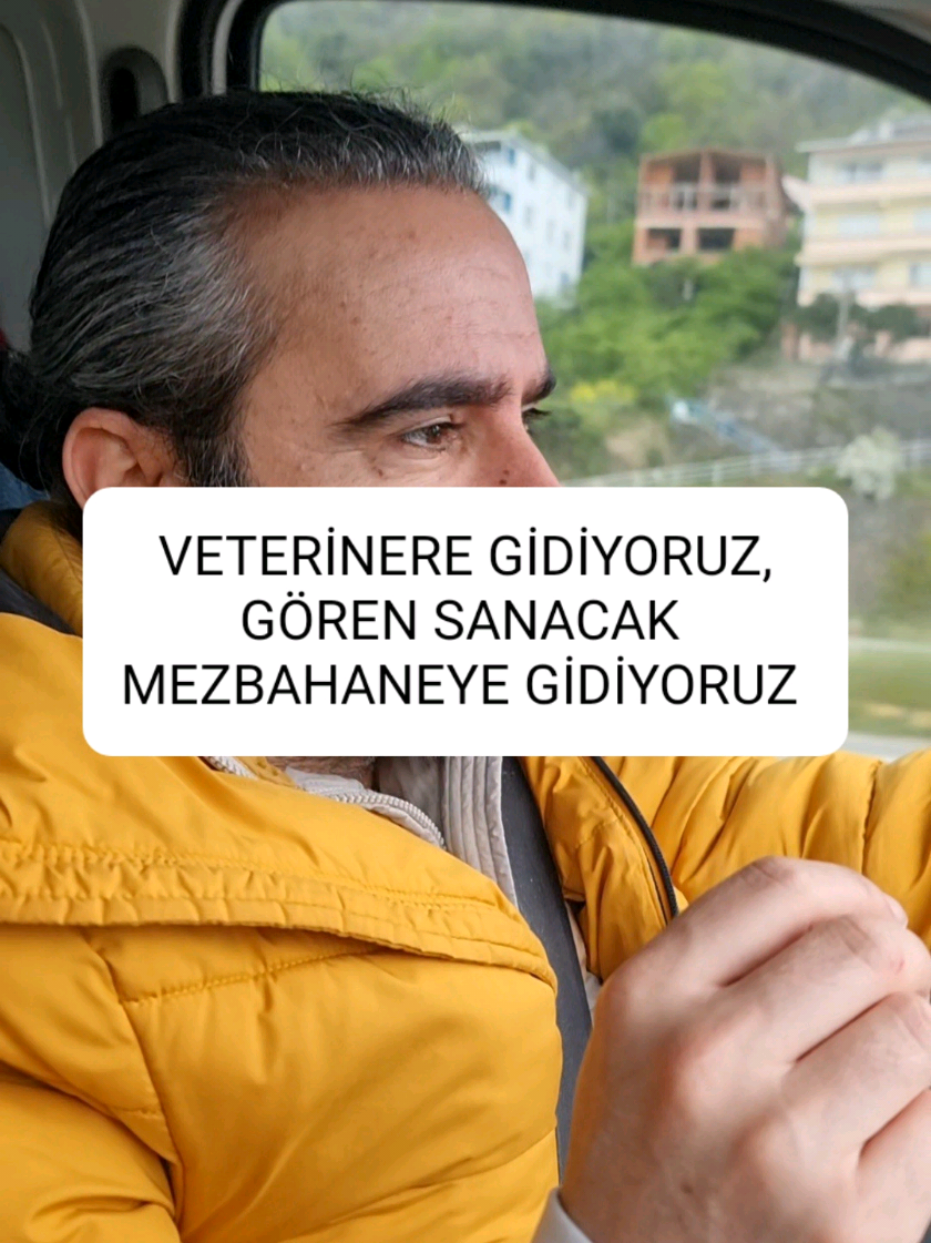@kedichico