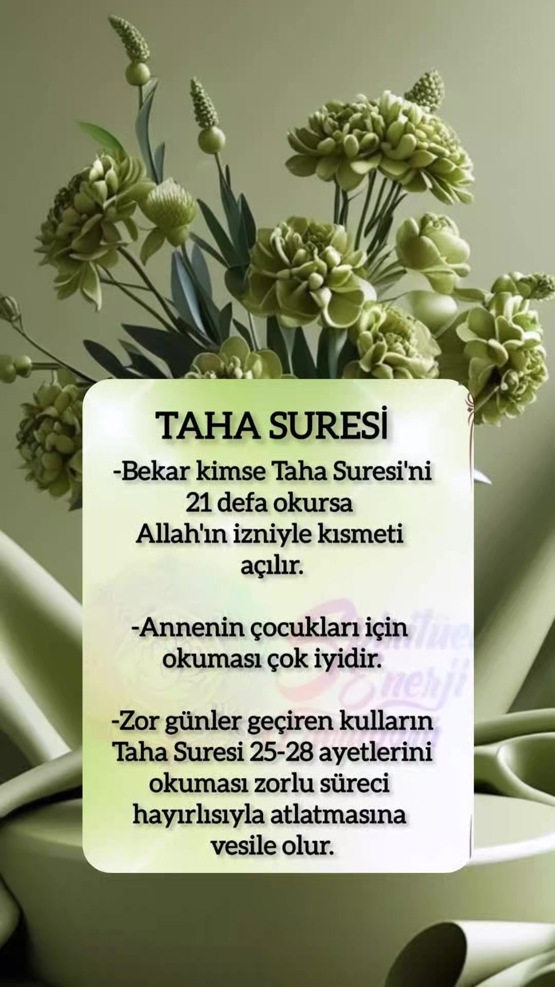 @hayat nereye gidiyor