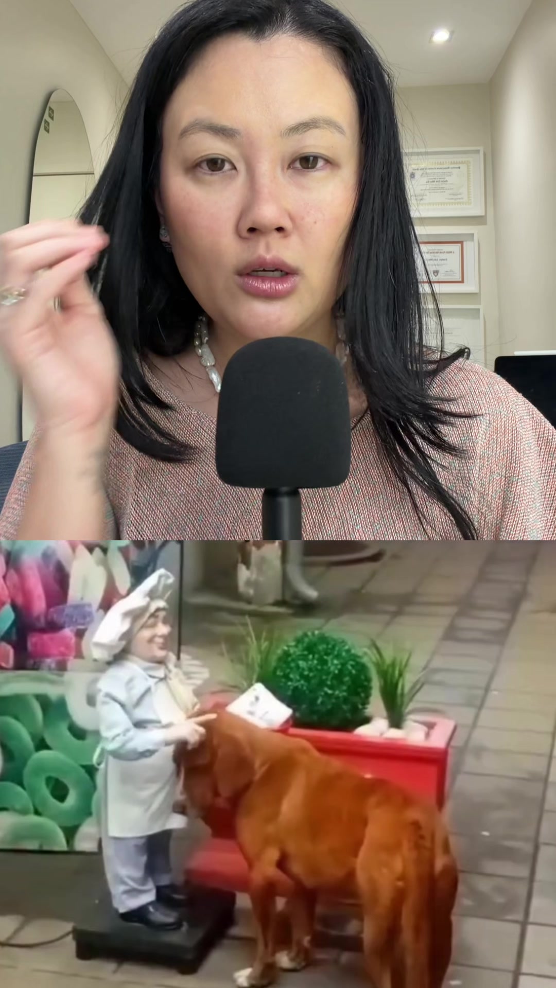 @Evelyn Liu