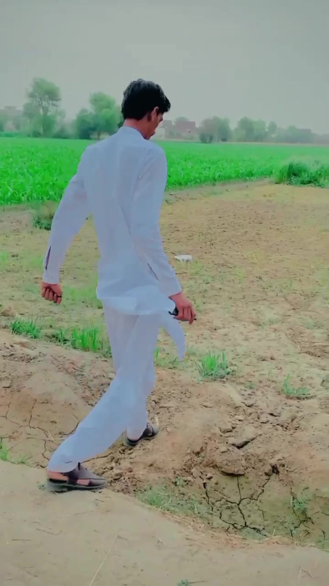 @Zubair Jutt