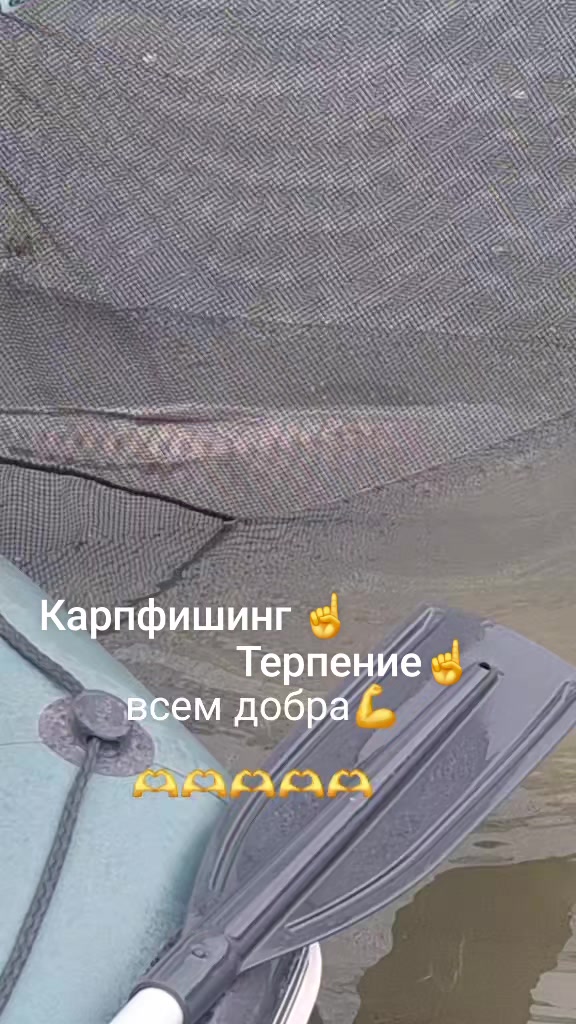 @Дикий карп рулит💪😎💪