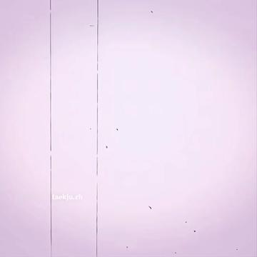 @taekju.zh