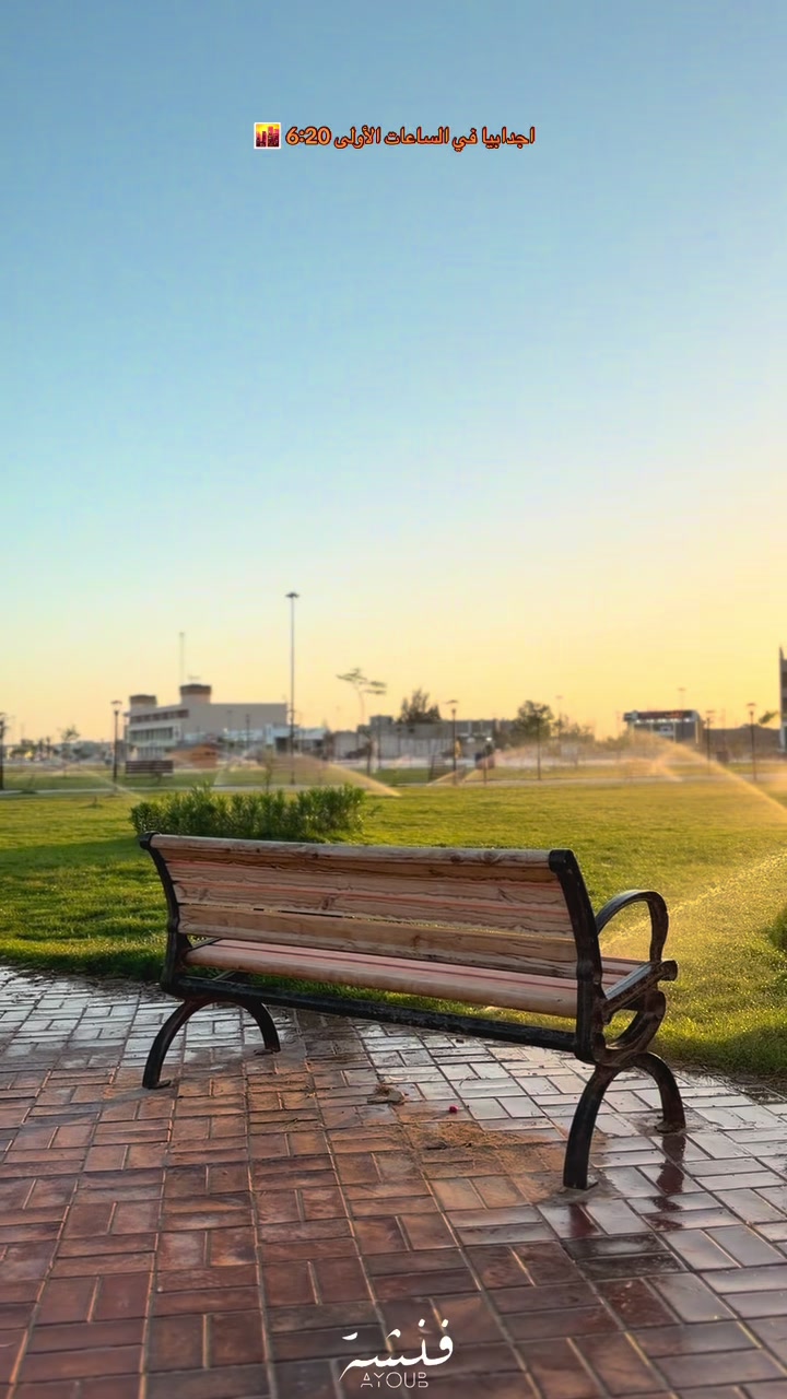 @ايوب فنشه