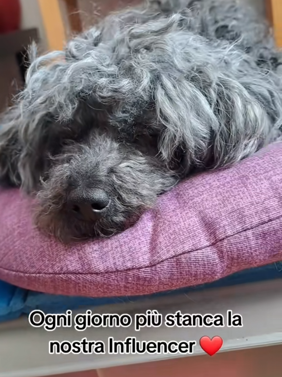 @Isobel ❤️ Pandora & SkifoGatti