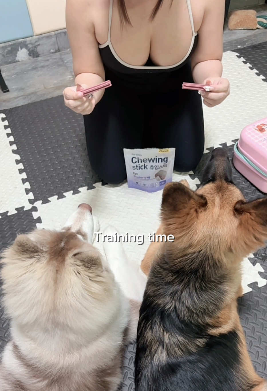 @คุณหนูบ้านเรมุ | Remu Pups 🐼