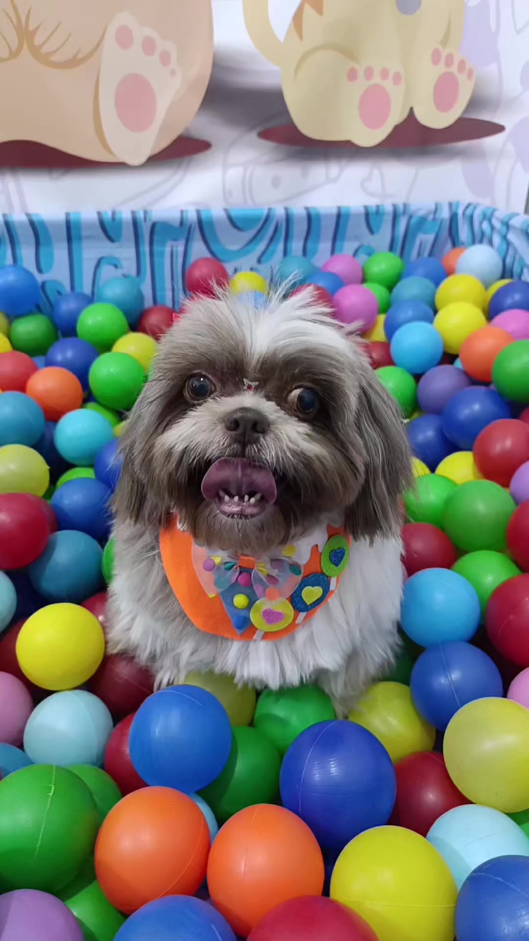 @Dog Ville Petcare